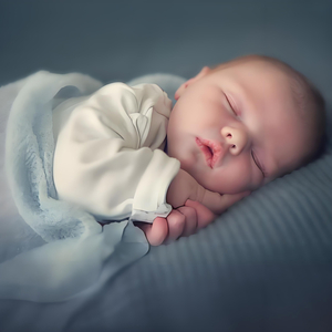 福利片在线观看
