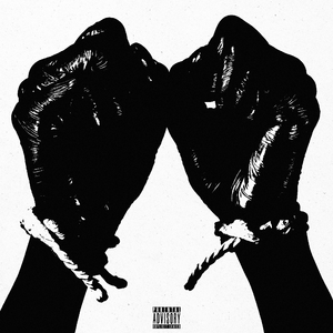 超级女教官布兰迪电影
