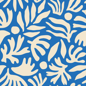 小布小布我要看空姐A片
