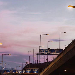 艳丽人妖玩人妖
