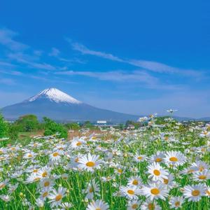 vr人成少妇在线播放
