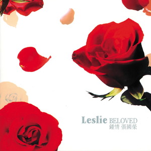 超级女教官布兰迪电影
