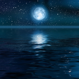 爱爱视频天天干
