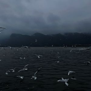 巨乳男女性爱动态图禁18
