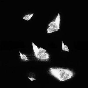 小布小布我要看空姐A片
