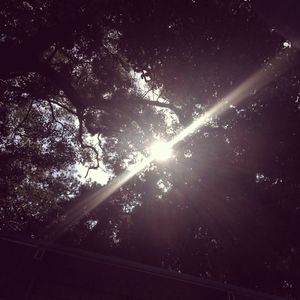 日韩国产天猫扑虎影视视频
