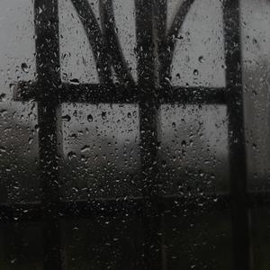 成人免费看视频
