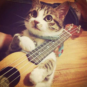 成人片色情免费观看软件的特点
