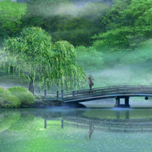 美女视频黄色免费
