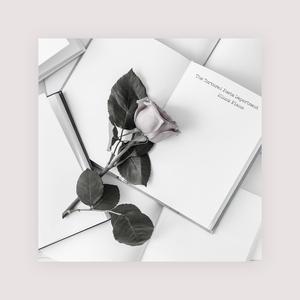 成人免费看视频
