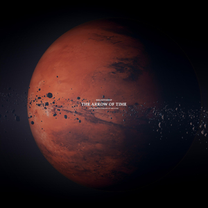 中国少妇与美国黑人在线观看
